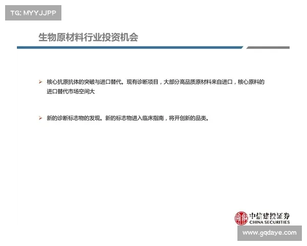打造未来之星：足球年轻球员培养体系与发展路径的深度探讨