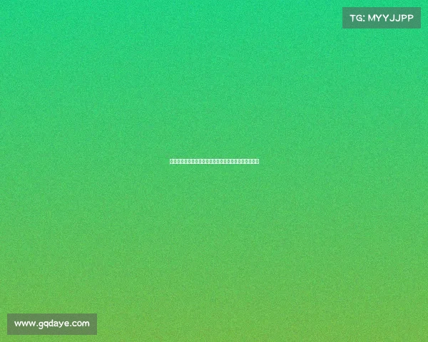 阿莫林在球场上的心酸历程：从高光到低谷的奋斗与坚持